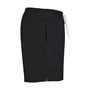 Badshorts Venice
