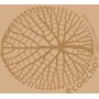 Servett 3-Lag 33x33cm Organic 50st/fp