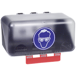 Glasögonbox Mini Transparent