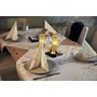 Servett Dunisoft 40x40cm Fall Beauty 60st/fp