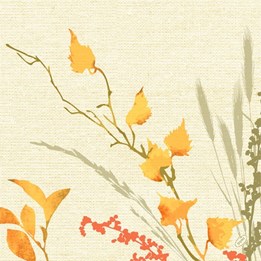 Servett Dunisoft 40x40cm Fall Beauty 60st/fp