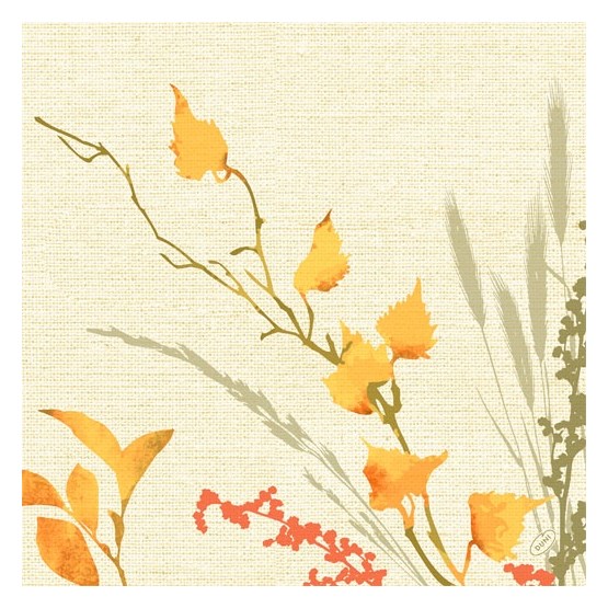 Servett Dunisoft 40x40cm Fall Beauty 60st/fp