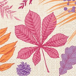Servett 3-Lag 33x33cm Bright Autumn 50st/fp