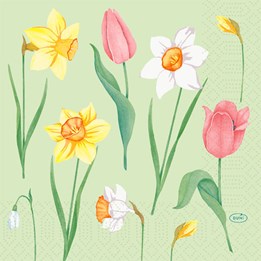 Servett 3-Lag 33x33cm Spring Melody 50st/fp