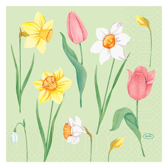 Servett 3-Lag 33x33cm Spring Melody 50st/fp