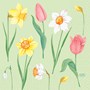 Servett 3-Lag 33x33cm Spring Melody 50st/fp