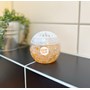 Luktförbättrare Activa globe gel Mango Citrus