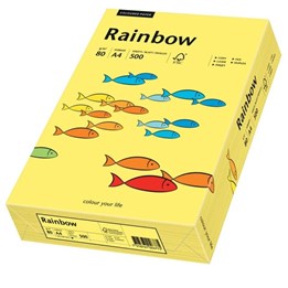 Färgat Papper A4 Rainbow Grå