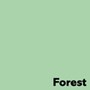 Färgat Papper A4 160g Forest Pastel Green 250st/fp