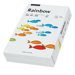 Färgat Papper A4 160g Rainbow Ljusgrå 250st/fp 88042791