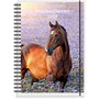 Kalender 2025 Stallkalendern