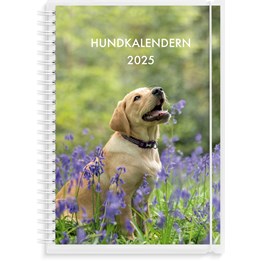 Kalender 2025 Hundkalendern