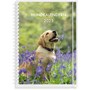 Kalender 2025 Hundkalendern