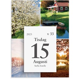 Kalender 2023 Väggplån med dagblock