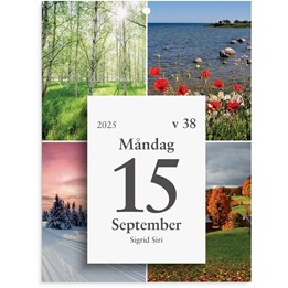 Kalender 2025 Väggplån med dagblock Årstiderna