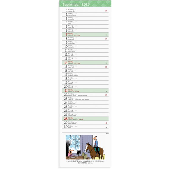 Kalender 2025 Stor Bordskalender Humor