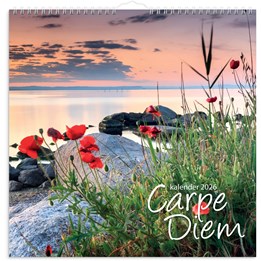 Väggkalender 2026 Carpe Diem