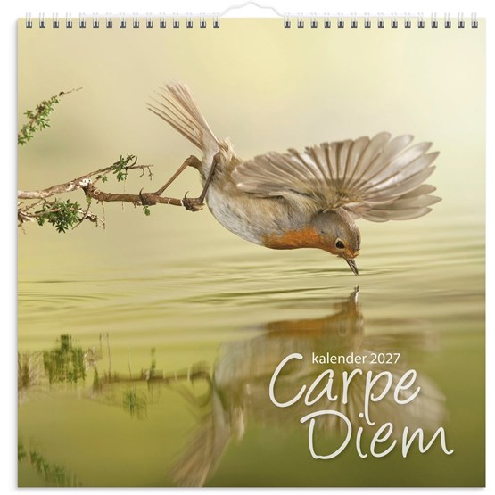 Väggkalender 2027 Carpe Diem