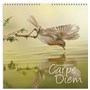 Väggkalender 2027 Carpe Diem