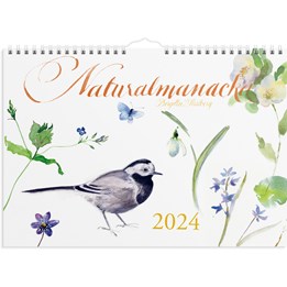 Väggkalender 2024 Naturalmanacka