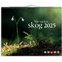 Väggkalender 2025 Vår vackra skog