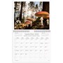 Väggkalender 2026 Vår vackra skog