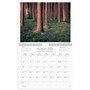 Väggkalender 2026 Vår vackra skog