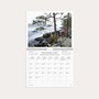 Väggkalender 2027 Vår vackra skog