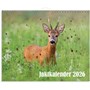 Väggkalender 2026 Jaktkalender