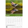 Väggkalender 2027 Jaktkalender