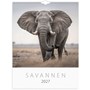 Väggkalender 2027 Savannen