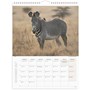 Väggkalender 2027 Savannen
