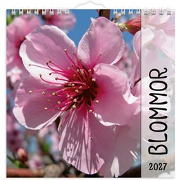 Väggkalender 2027 Blommor
