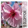Väggkalender 2027 Blommor