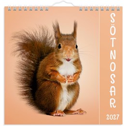 Väggkalender 2027 Sötnosar
