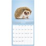 Väggkalender 2027 Sötnosar