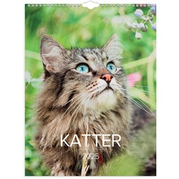 Väggkalender 2025 Stora Kattkalendern
