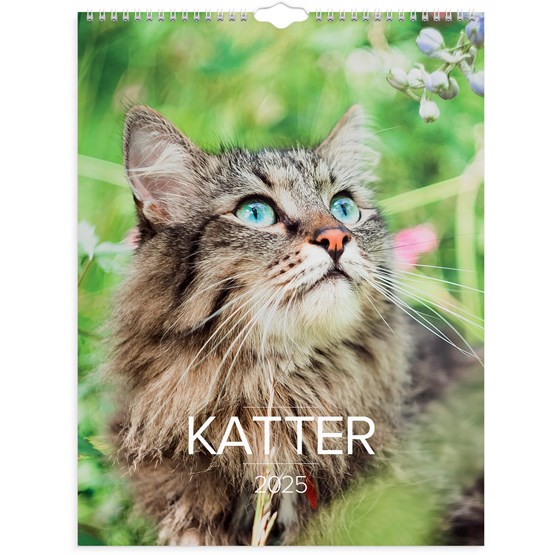 Väggkalender 2025 Stora Kattkalendern