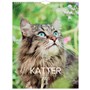 Väggkalender 2025 Stora Kattkalendern