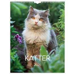 Väggkalender 2026 Stora Kattkalendern