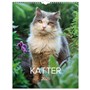 Väggkalender 2026 Stora Kattkalendern