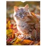 Väggkalender 2027 Stora Kattkalendern