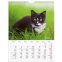 Väggkalender 2027 Stora Kattkalendern