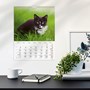 Väggkalender 2027 Stora Kattkalendern