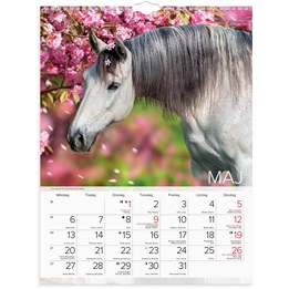 Väggkalender 2024 Stora Hästkalendern