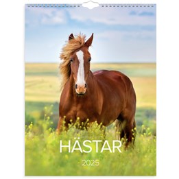Väggkalender 2025 Stora Hästkalendern