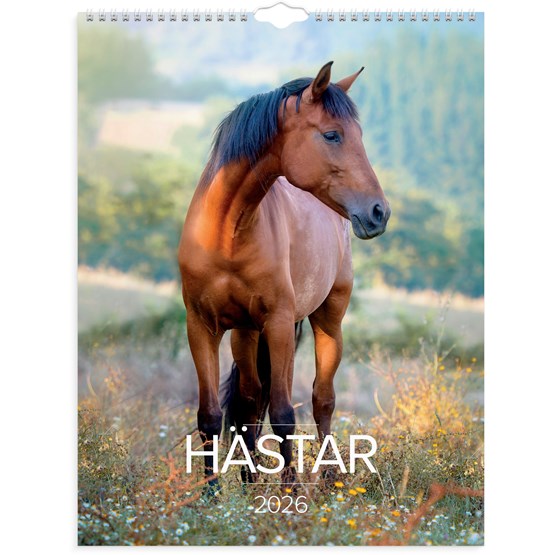 Väggkalender 2026 Stora Hästkalendern