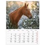 Väggkalender 2027 Stora Hästkalendern