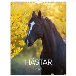 Väggkalender 2027 Stora Hästkalendern