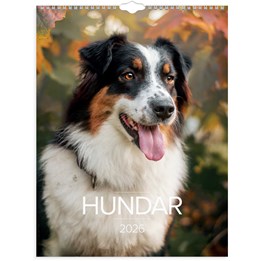 Väggkalender 2026 Stora Hundkalendern